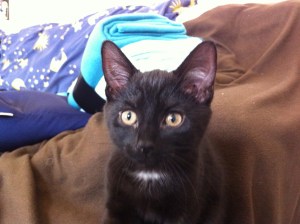 It's Swedish for 'naughty-naughty'